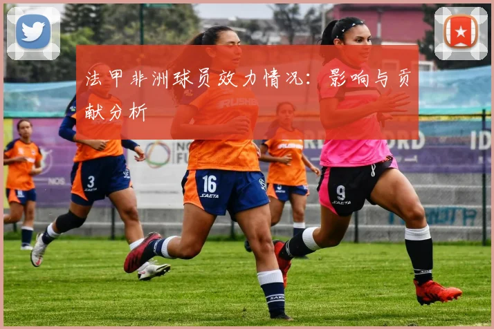 法甲非洲球员效力情况：影响与贡献分析